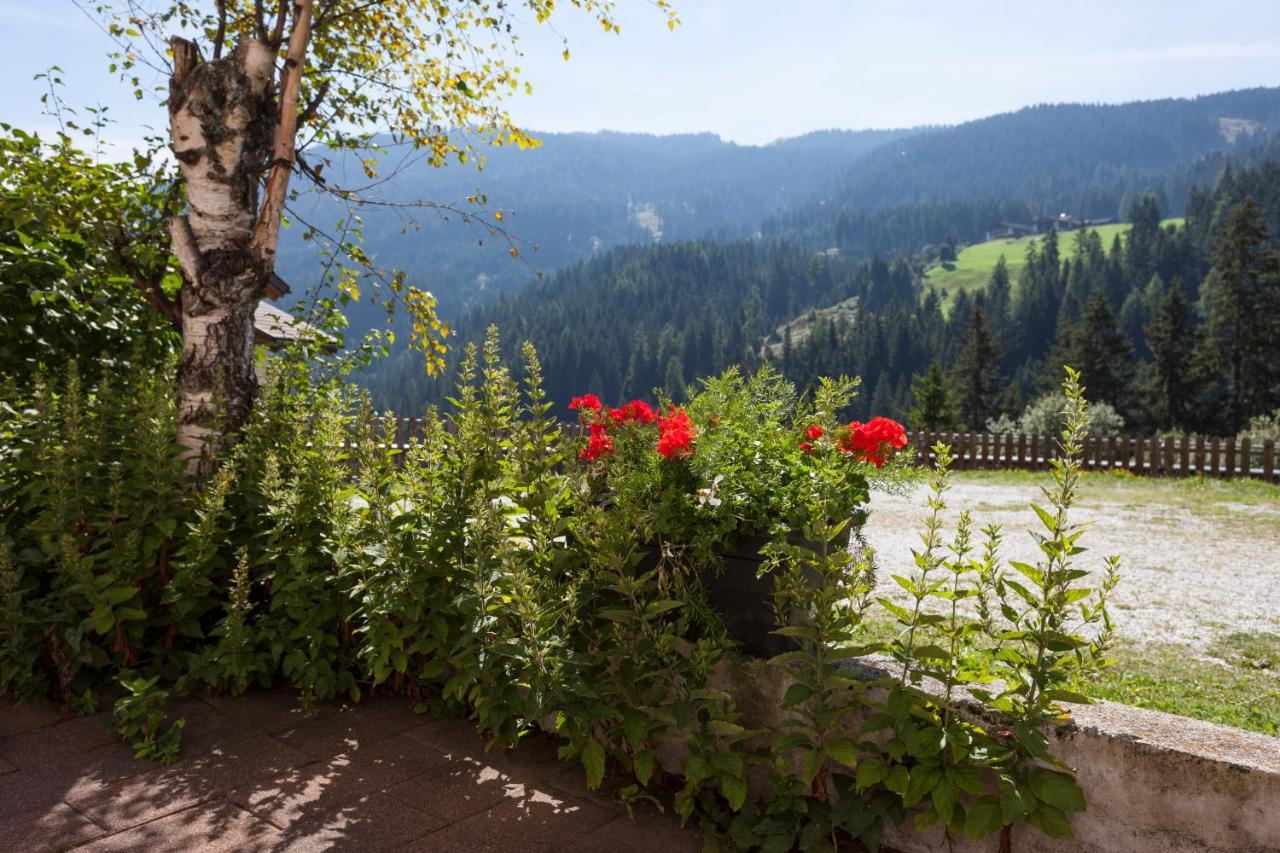 Alpenspitz Appartements - Garni - B&B Рачинес Екстериор снимка